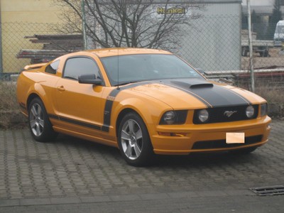 Mustang solo